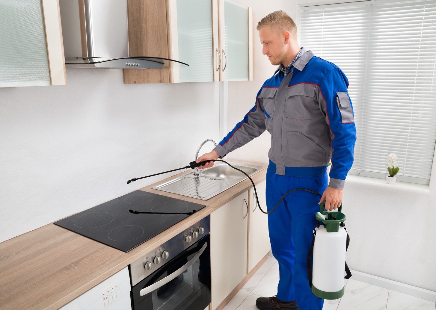Why You Need Eco-Friendly Pest Control for Your Home?