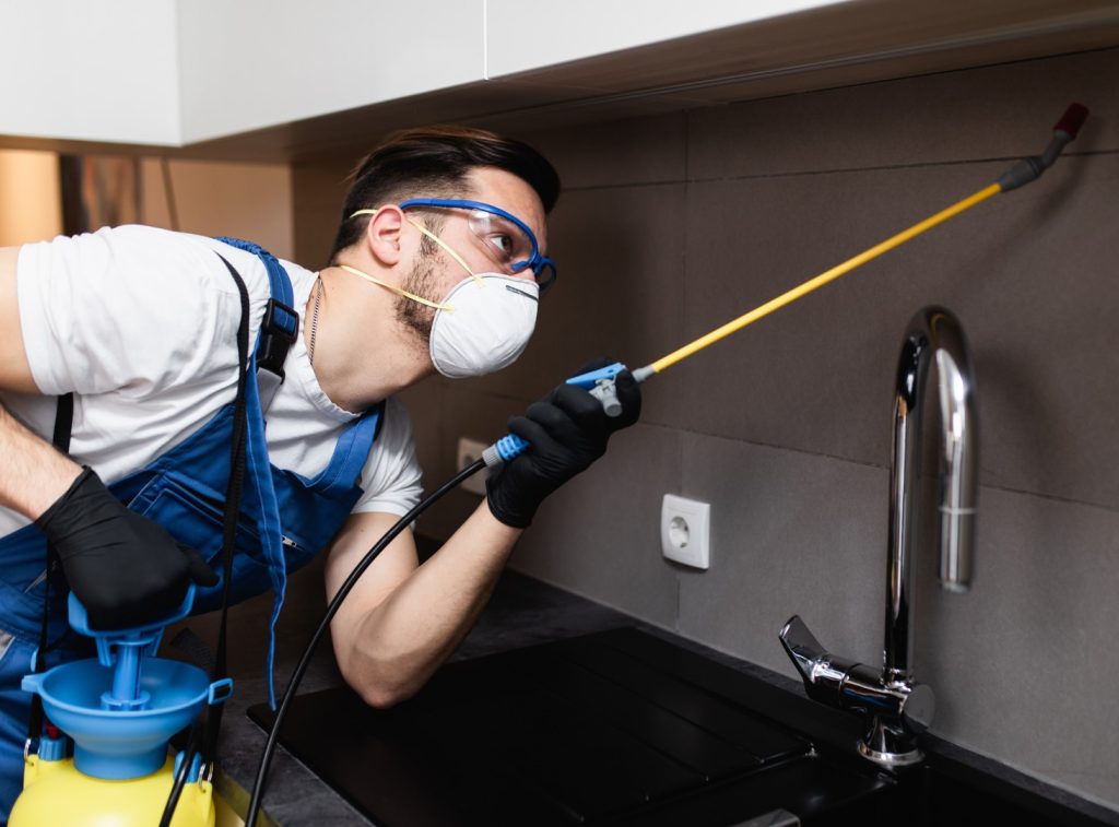 emergency pest control