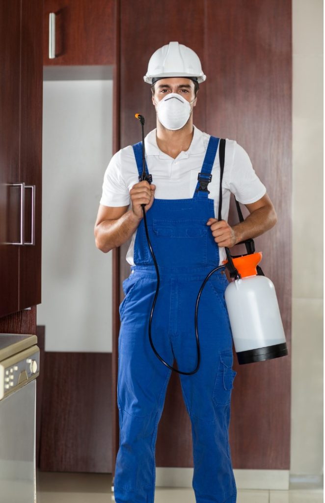 frequently asked questions about pest exterminators